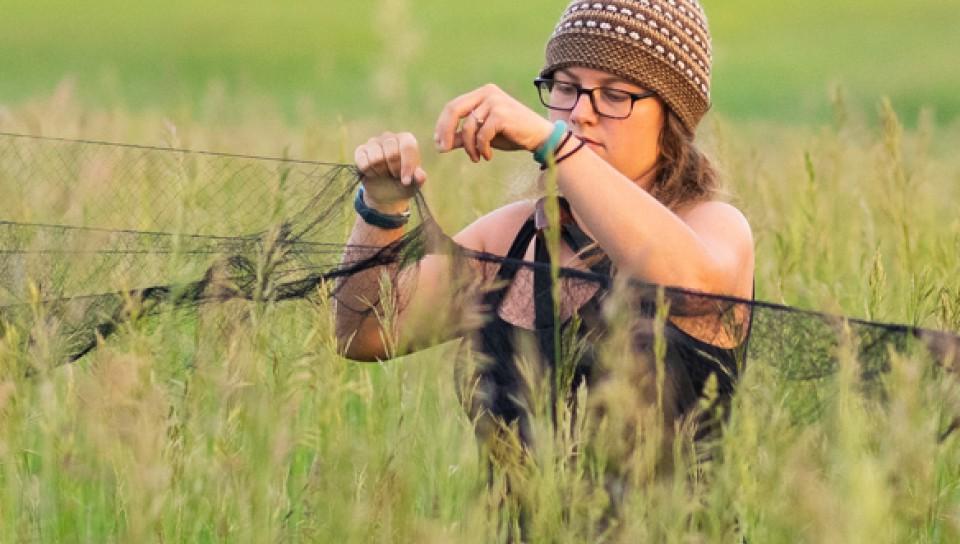 A U N E student adjusts some netting in a field